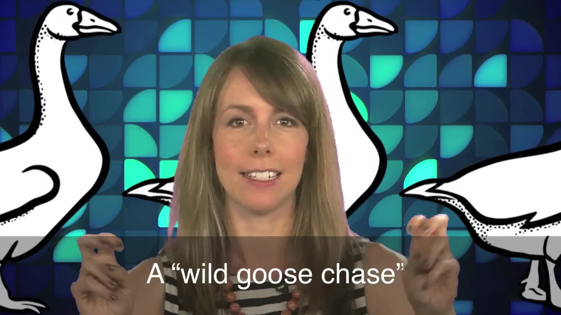 English in a Minute: Wild Goose Chase