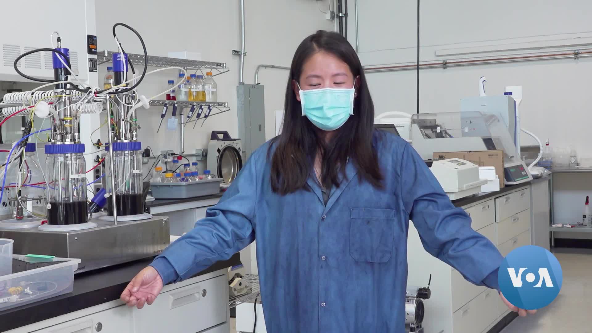 Scientists find eco-friendly way to dye blue jeans